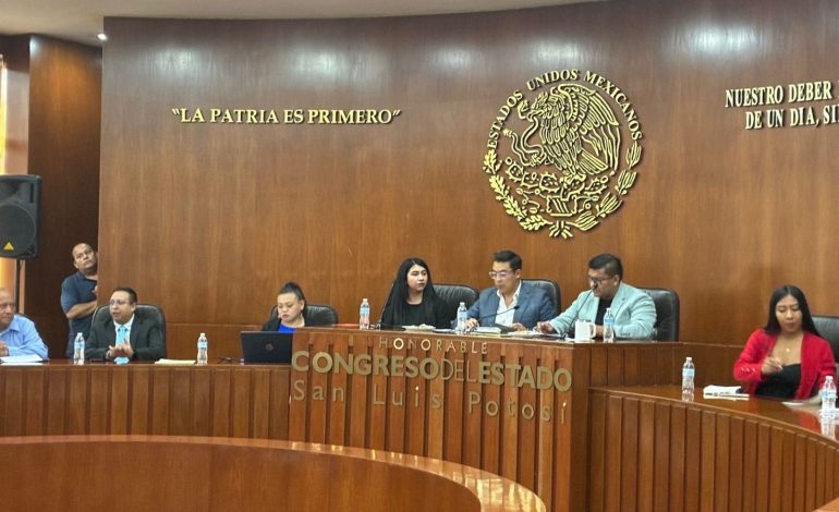  Falta de especialistas limita capacidad de investigación en SLP: criminóloga