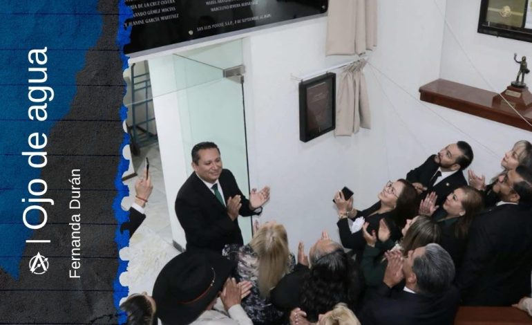  El costo político como criterio legislativo