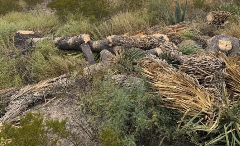 Ejidos piden a Sheinbaum pago justo por tierras afectadas por la nueva carretera a Matehuala