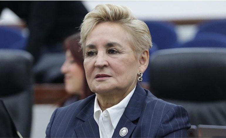  Congreso buscará destrabar reformas de salud mental; diputada plantea ajustar iniciativas que podrían requerir consulta