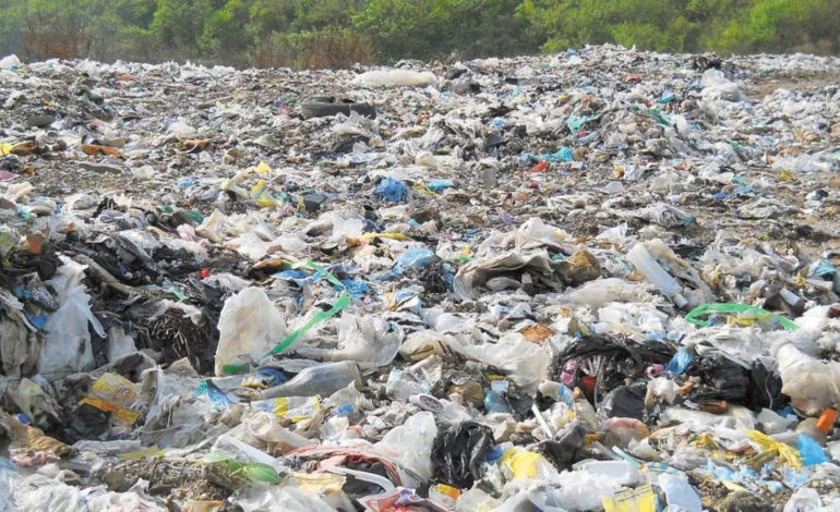  Regidora propone que Soledad use el relleno sanitario de Peñasco