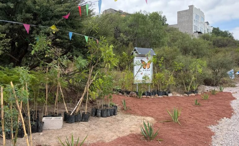  Proyecto de conservación ecológica en el Poniente, debe acotarse a especies nativas: agroecólogo