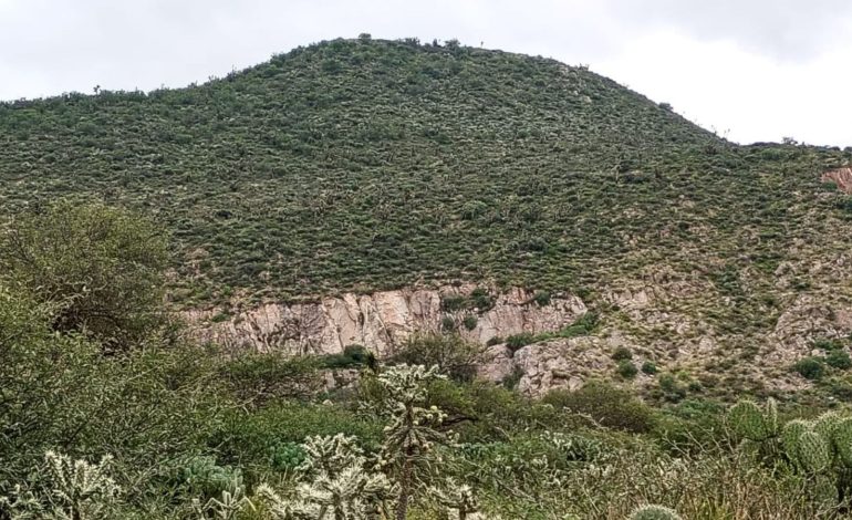  Segam canceló MIA que dió a Hoganza para lavarse las manos: Guardianes de la Sierra
